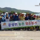 용신포도