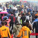 횡성한우축제장(섬강둔치) 이미지