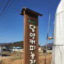 담양커피 이미지