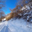 사선대농장 이미지