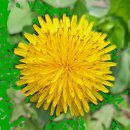 신평연합의원 | 홍준표 '배신자' 비난에 침묵 깬 한동훈…與 '韓 책임론' 논쟁 &amp; [단독] 한동훈, 윤석열 대통령 초청...