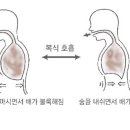 연세플룻교습소