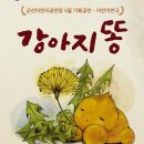 군산어린이공연장 이미지