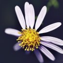 그래도예뻐 이미지