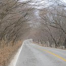 바람의 선율 팬플룻 이미지