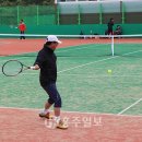 홍성군테니스협회