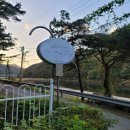 인마이라이프 | 홍천 인마이라이프 독채펜션 풀빌라 숙소 비발디파크 근처 숙소