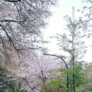 미목 이미지