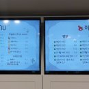 루시드키즈카페 이미지