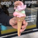 24시병천순대 소머리국밥 이미지