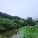 계절따라 | 수원 재가요양 후기, 계절 따라 걷고 마음 따라 웃는 어르신과의 산책 이야기