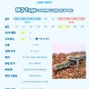 블랙앤화이트케어 이미지