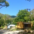 팔공산금화자연휴양림 이미지