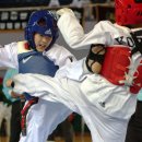 용인대학교 스타태권도장 이미지