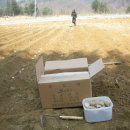 해님농장 이미지