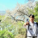 오동도 | 여수 오동도 후기