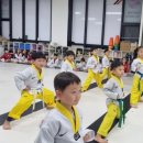 차오름태권도 이미지