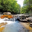 백운계곡 이미지