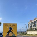 떡만드는고냉이 | [제주오메기떡]떡만드는고냉이