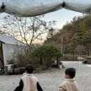 대전창남우유농협백제중앙간이지점 | 부여 - 판앤팜치유정원(글램핑), 부여박물관, 연꽃이야기