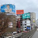 신주쿠 - 서초구 | 신주쿠