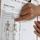 본 루트 체형교정센터 | 인천송도체형교정 본루트체형교정 센터_솔직후기