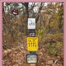 자연체육관 이미지