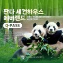 판다 | 에버랜드🎡 방탈출 메모리카니발 Ricky | 쌍둥바오 판다월드 세컨하우스 후기