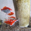 산격현대약국