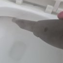 중랑구 면목동 한울타운 입주청소 후기