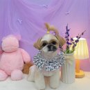 쁘띠아키 이미지