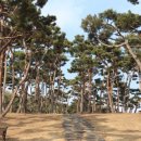 김경승 묘 이미지