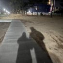포토이즘박스낙산비치점