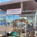 DMZ박물관 | DMZ 박물관 다녀와서 정리한 관람 포인트