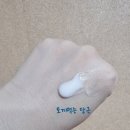 지원매니아㈜ | [체험단] 이니스프리 그린티 히알루론산 수분크림 후기 !