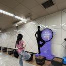 선광2호 이미지