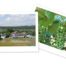 옥대3리 이미지