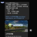 스카이트래블여행사