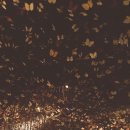 THE 펍호프 이미지