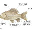 신영유치원 이미지