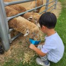 숲속황토구들장 이미지