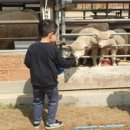 세인목장 이미지