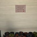 야간요가기초 이미지