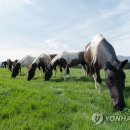 국립축산과학원 난지축산연구소 이미지