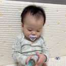 오일박사 | [아기오일 추천] <비올란 스위트 아몬드오일> 11개월 보습력 좋은 아기아토피 오일 사용후기