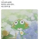 2주 만에 벌써 망하는 중이라는 인스타 스레드.jpg 이미지