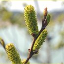 기룡농장 이미지