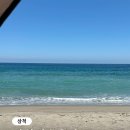 임원수산횟집 | 강원도 삼척 여행 조용한 바다 추천 임원해수욕장