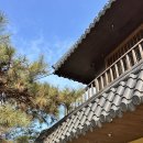 위례성로 | 천안 북면 카페 추천 교토리 일본감성 가득 느껴지는 분위기 좋은 공간