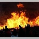 정월대보름...화왕산 억새태우기 축제 ( 3년마다 돌아오는 딱하루~! 산상축제 이미지